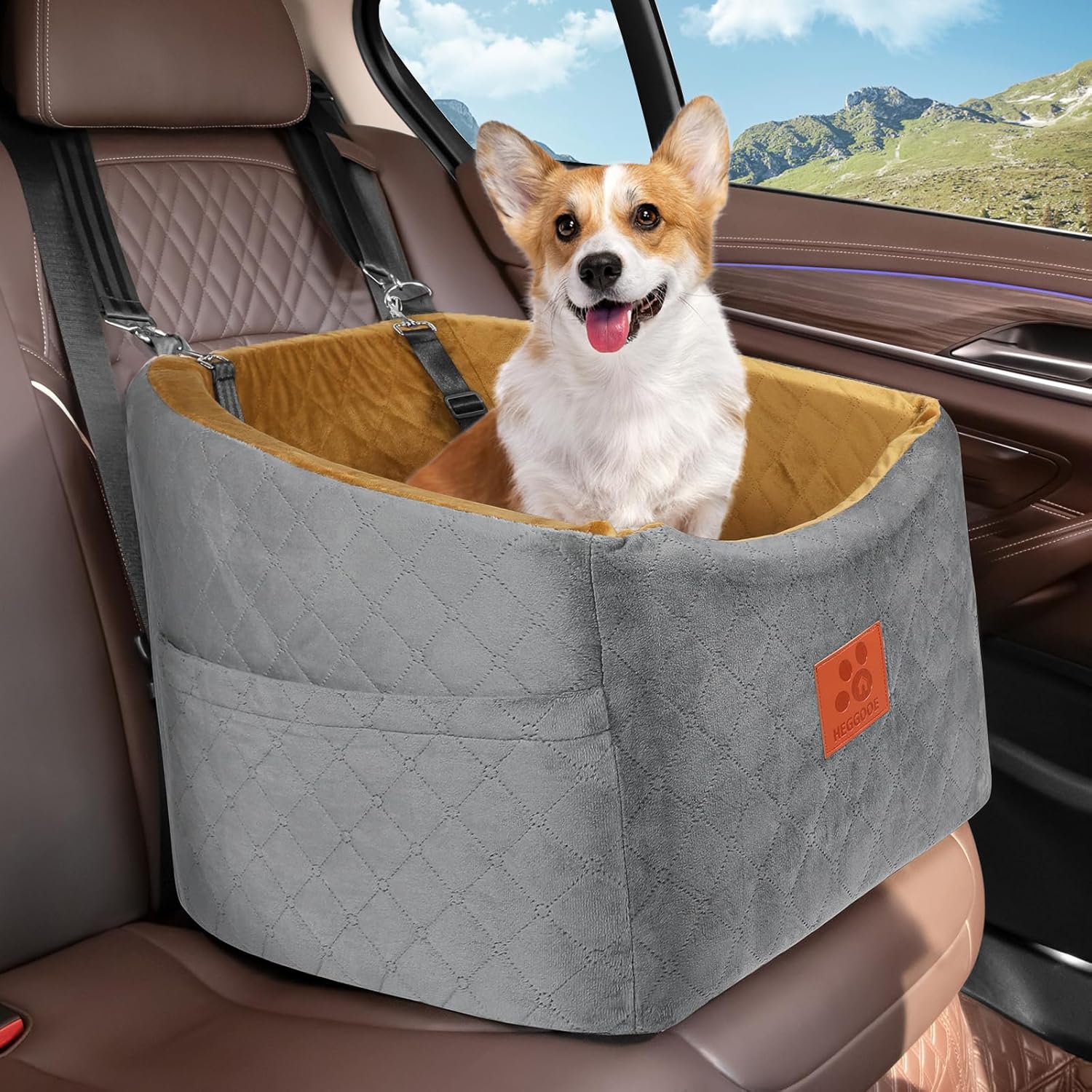 Cuccia Ortopedica in Schiuma p - Travel Accessories Manufacturer recensione e prezzo