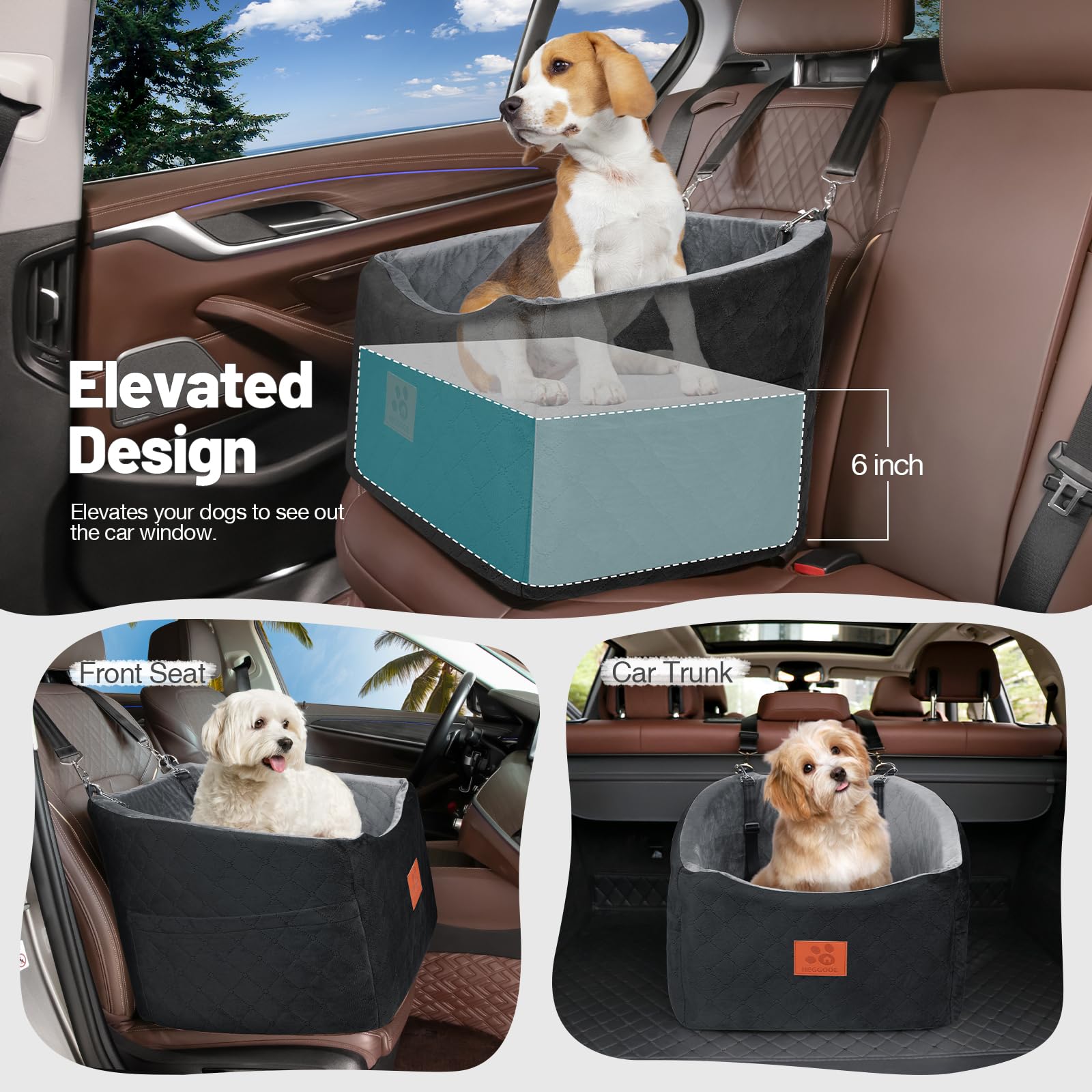 Cuccia Ortopedica in Schiuma p - Travel Accessories Manufacturer recensione e prezzo