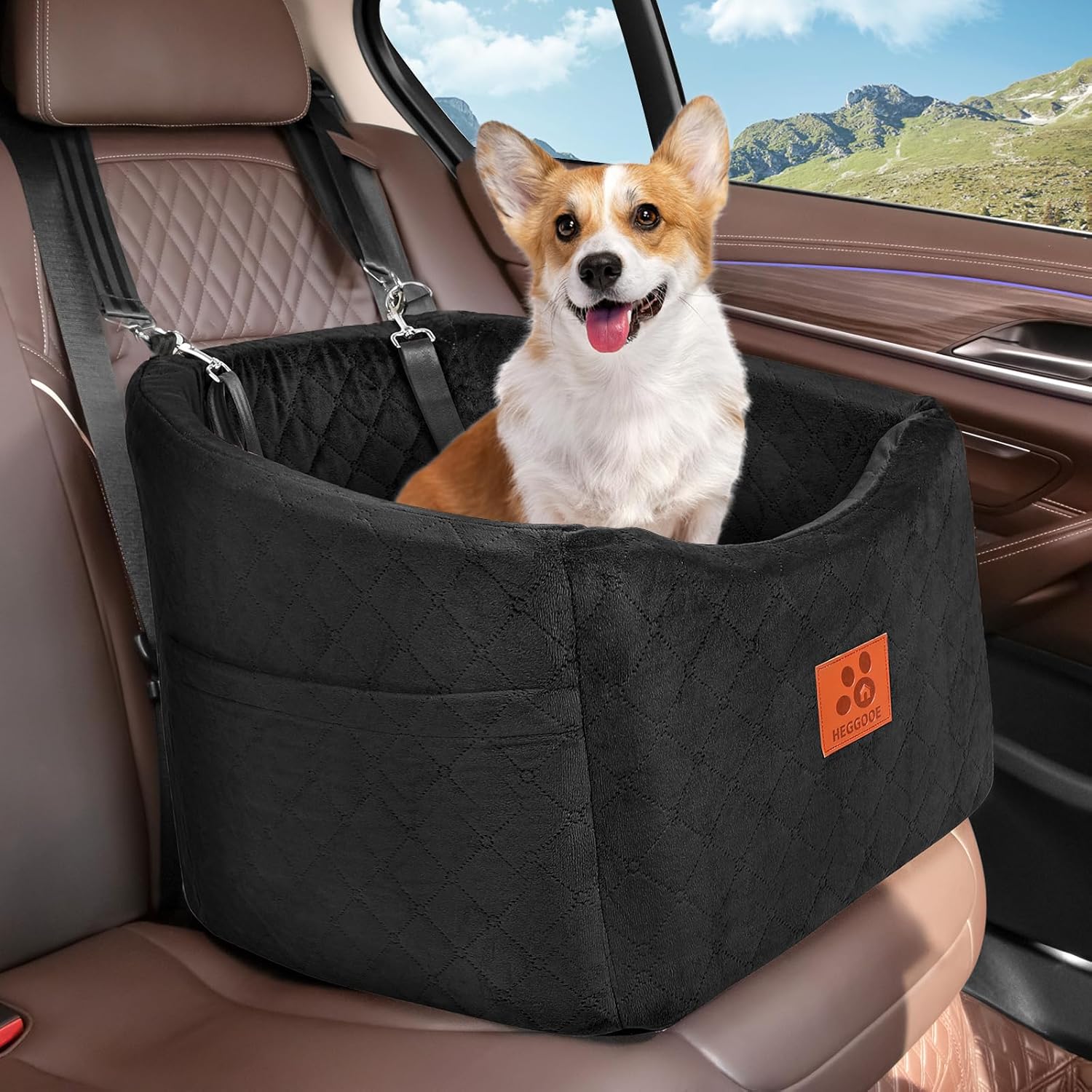 Cuccia Ortopedica in Schiuma p - Travel Accessories Manufacturer recensione e prezzo